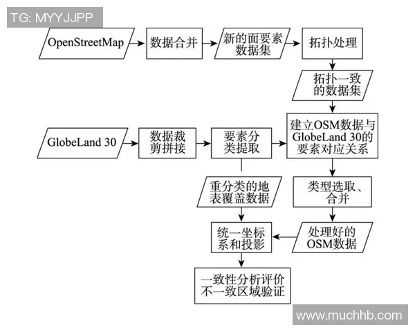 深圳乒乓球队团队协作表现的数据分析与研究探讨