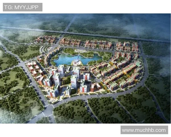 深圳排球队的转型升级之路探索与未来展望